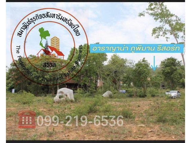ที่ดินปากช่อง : 2-2-25.4ไร่ โครงการอาราญาน่า