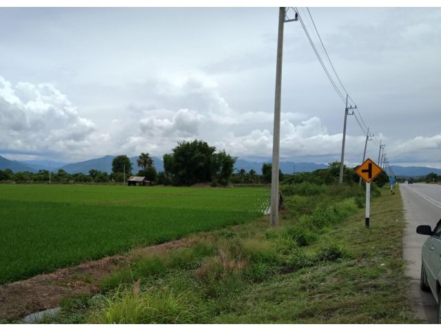 ที่นาติดถนนหลัก สันป่าตอง