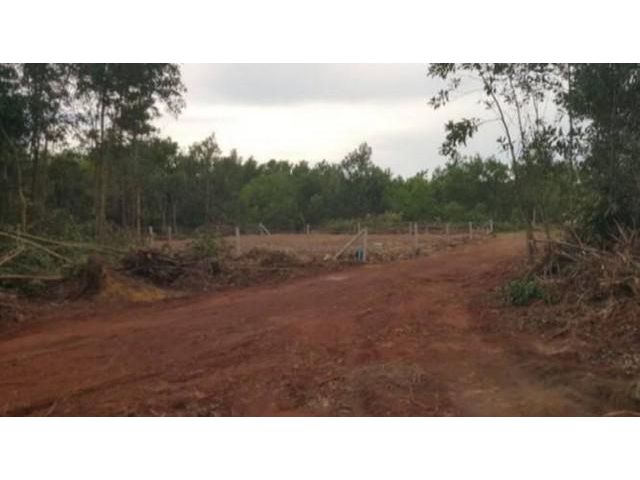 ขายที่ดินหลังที่ทำการผู้ใหญ่บ้าน