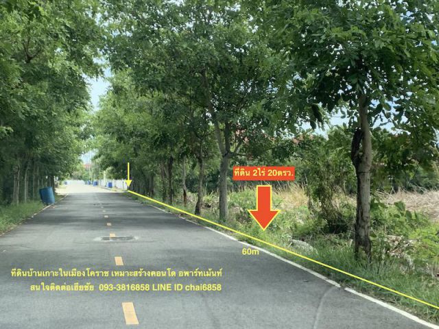 ###ขายที่ดินบ้านเกาะ ในเมืองโคราช เนื้อที่ 2-0-20ไร่ ####