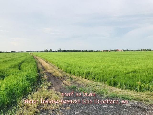 ️ขายที่นาแปลงใหญ่ ติดคลอง 2 ด้าน เขตบางน้ำเปรี้ยว เนื้อที่ 92 ไร่เศษ