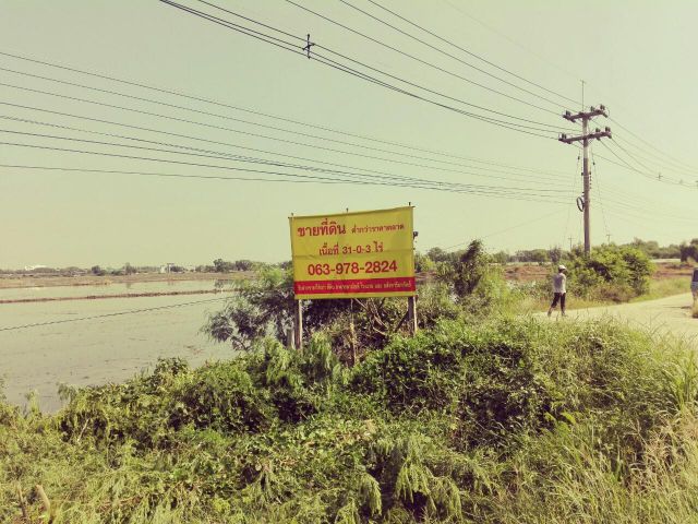 ขายที่ดิน อยุธยา