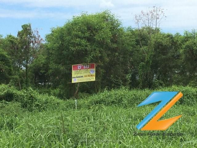 ขายที่ดิน200 ตรว. เฉลิมพระเกียรติ ร.9 ซอย 48 แยก 10
