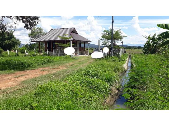 บ้านสวนวิวสวยขายถูก