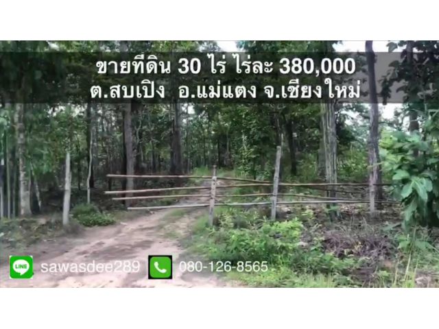ขายที่ดินแม่แตง ติดถนน มีไฟฟ้า เนื้อที่ 30 ไร่ ไร่ละ 380,000