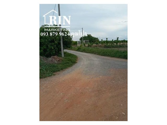 ขายด่วน.. ที่ดินสวนมะม่วง เนื้อรวม : 5 ไร่ 3งาน 60 ตร.ว.  เลขที่โฉนด34595 (น.ส.4 จ)  ตำบลไร่รถ อ.ดอนเจดีย์  จ.สุพรรณบุรี