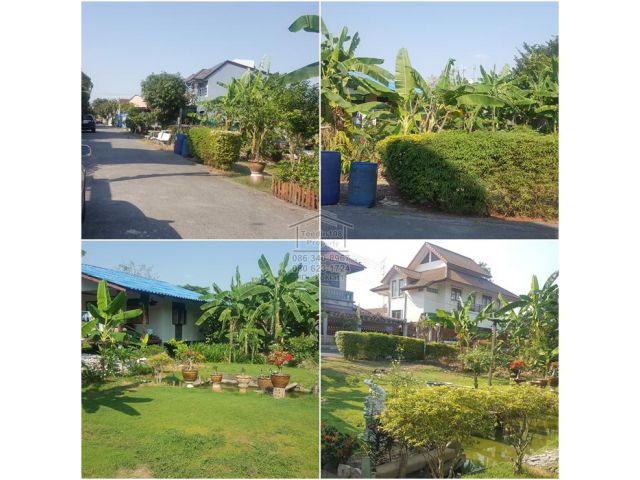 ขายที่ดิน 90 ตรว. สวนผัก 29 ตลิ่งชัน กทม.