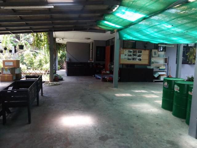 รหัสทรัพย์  8420 บ้านเดี่ยว ซอยลาดพร้าว 1  มีสวนสวย บ่อปลา