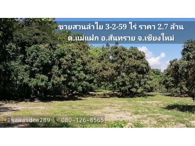 ขายที่ดินสันทราย สวนลำไย พื้นที่ 3-2-59 ไร่ ใกล้สนามกอล์ฟ​รอยัล​กอล์ฟ​คลับ​ ยกแปลง 2.7ล #ที่โฉนดพร้อมโอน