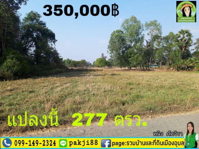ที่ดินสร้างบ้านติดถนนคอนกรีต บ้านหนองไข่นก/อุบลฯ