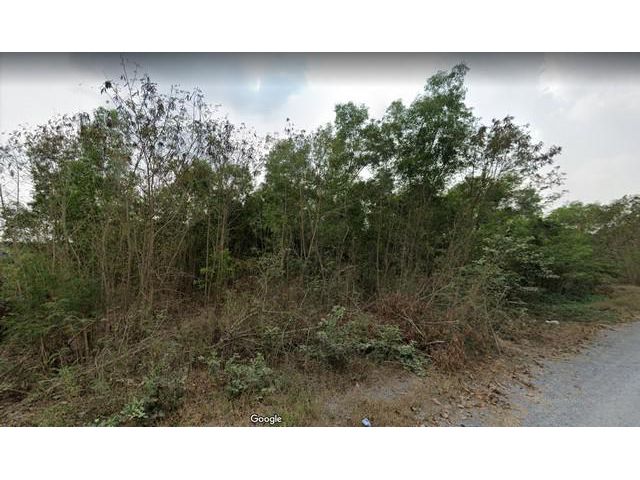 ขายที่ดินขนาด 2ไร่ 19ตารางวา คลองหลวง ปทุมธานี