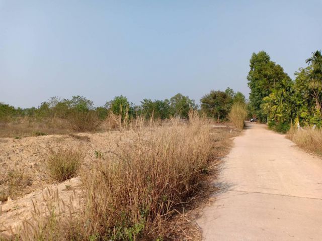 ขายที่ดินเขาหินซ้อน 12 ไร่ ติดถนนคอนกรีต ใกล้ถนนเส้น 331 - 950 เมตร พนมสารคาม ฉะเชิงเทรา