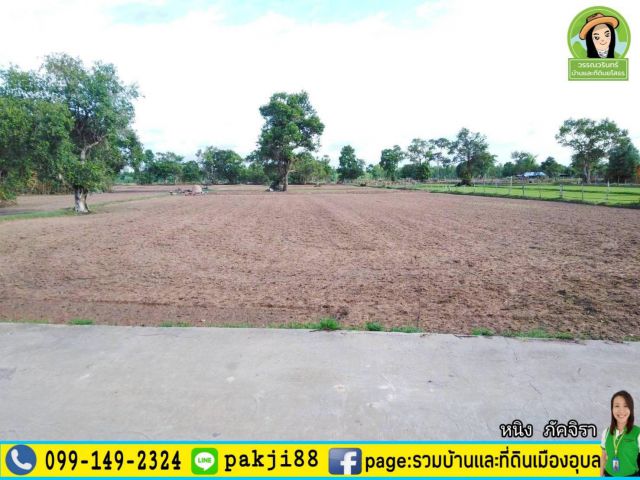 ที่ดินสร้างบ้านสวนแปลงสวย ต.น้ำคำใหญ่/ยโสธร