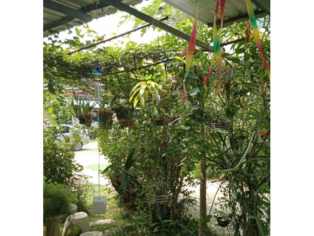 บ้านพร้อมที่ดิน แม่แตง