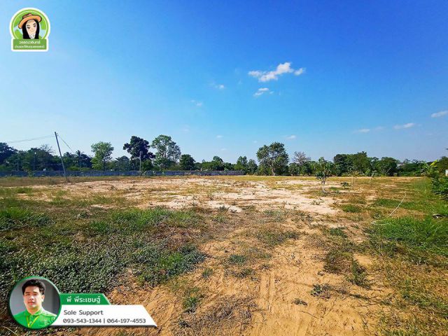 ที่ดินเปล่าสำหรับสร้างบ้านขาย ซ.หนองมะนาว