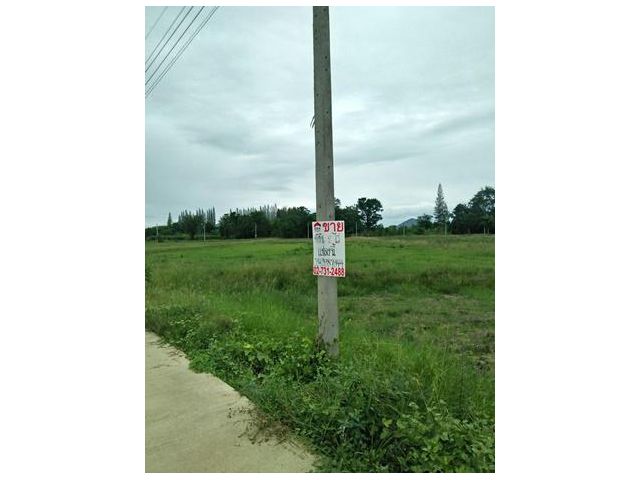 ขายที่ดินเปล่า 2-1-19 อ.ท่ายาง จ.เพชรบุรี