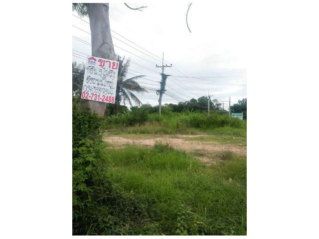 ขายบ้านพร้อมที่ดิน ขนาด 5-2-81 ไร่ จ.เพชรบุรี