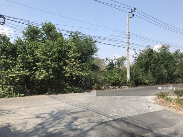 ทีดินกิ่งแก้ว43 198 ตร.วา ใกล้สนามบินสุวรรณภูมิ