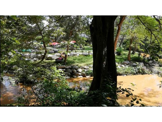 ขายที่ดินสวยติดลำตะคอง หนองสาหร่าย ปากช่อง
