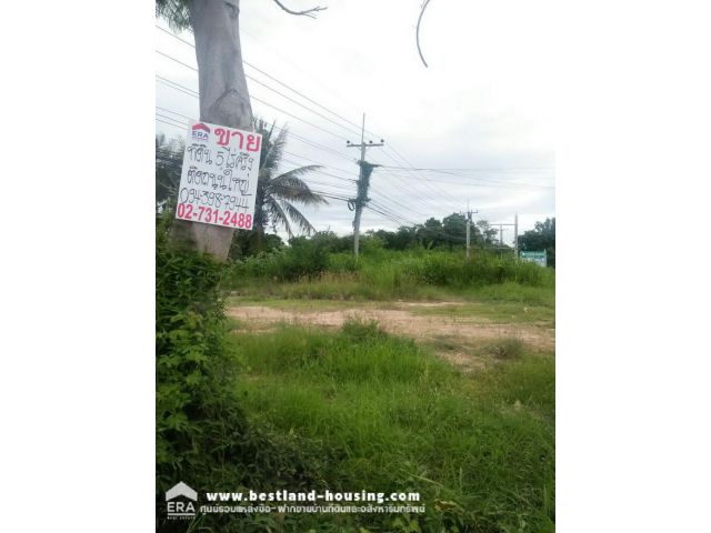 ขายบ้านพร้อมที่ดิน 5-2-81 ไร่ ถนนใหญ่สายเขื่อนเพชร-แก่งกระจ่าน