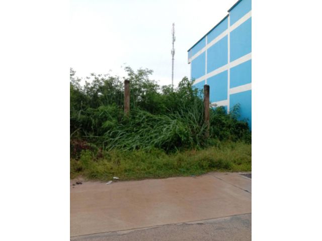 ขายที่ดินหน้าโรงเรียนบ้านห้วยกุ่ม เนื้อที่ 2ไร่ ต.บางพระ อ.ศรีราชา จ.ชลบุรี