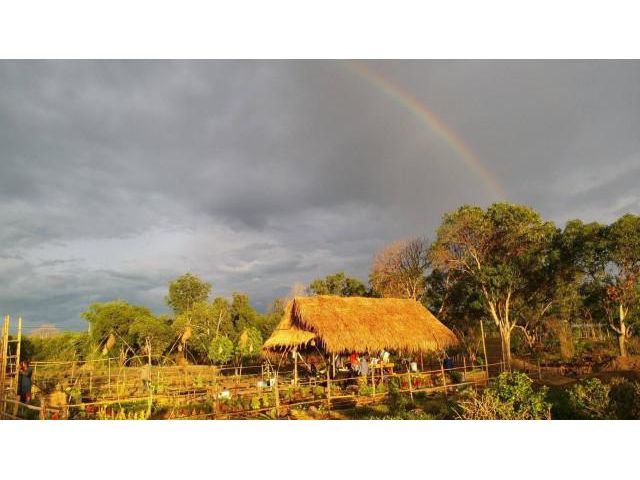 ZSL210711 ที่ดินเพื่อการเกษตร ผ่อนได้ สวนมะลิ คลอง10 หนองเสือ ปทุมธานี