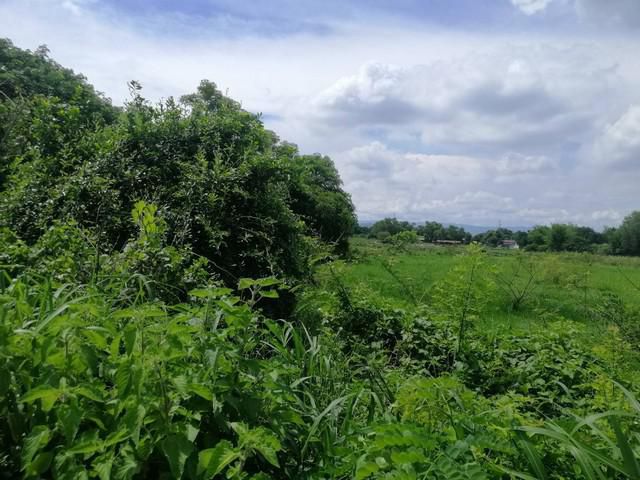 ขายที่ดิน นครนายก จำนวน 6-2-2 ไร่