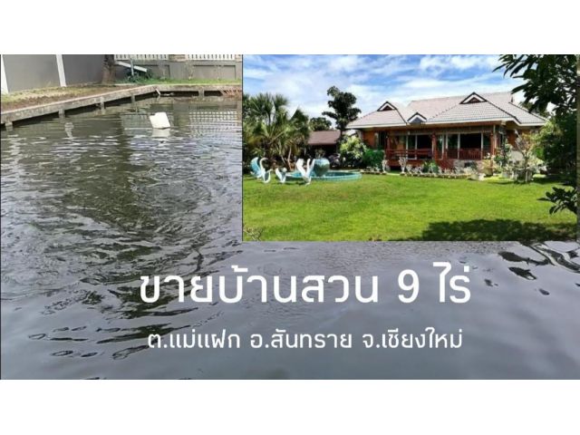 ขายบ้านสันทราย บ้านสวน เนื้อที่ 9ไร่ สร้างตามหลักฮวงจุ้ย อ.สันทราย จ.เชียงใหม่​