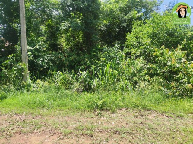 ที่ดินเปล่า