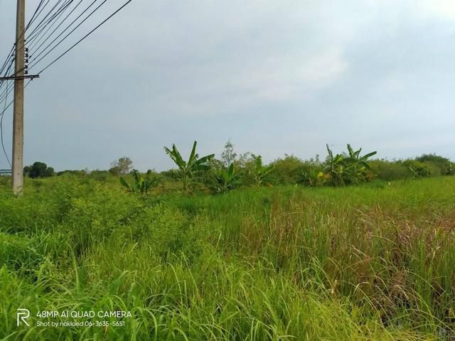 ขายที่ดินติดถนนเลียบคลอง 6 คลองหลวง
