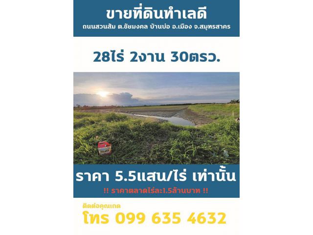 ถูกมากๆๆๆ ราคาว๊าว ขายที่ดินทำเลดี ถนนสวนส้ม ตำบลชัยมงคล บ้านบ่อ อำเภอเมืองจังหวัดสมุทรสาคร
