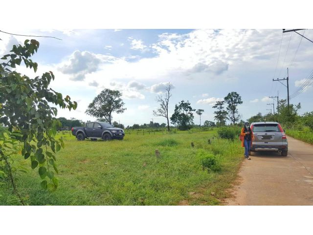 ที่ดินเปล่า