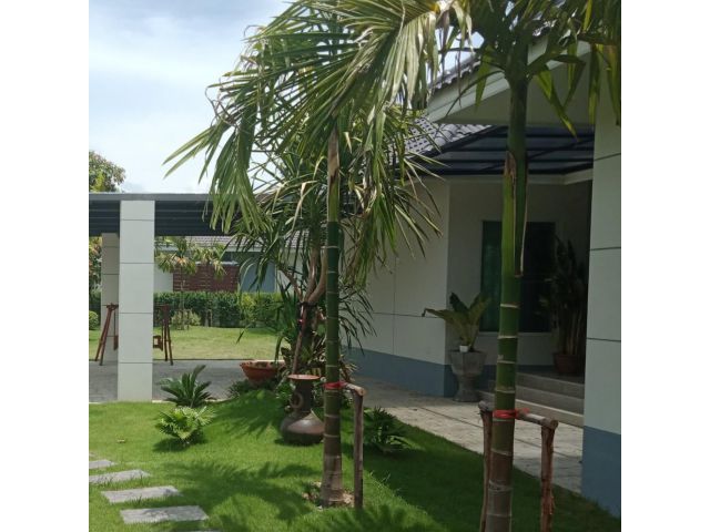บ้านในโครงการหมู่บ้านรอยัลวิว หางดง