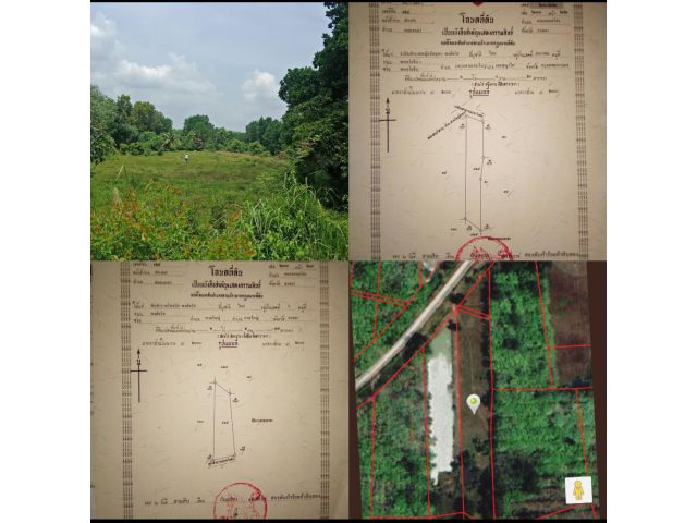 ขายที่ดินคลองหอยโข่ง 6 ไร่ใกล้กองบิน 56 ขาย 3 ล้านบาท