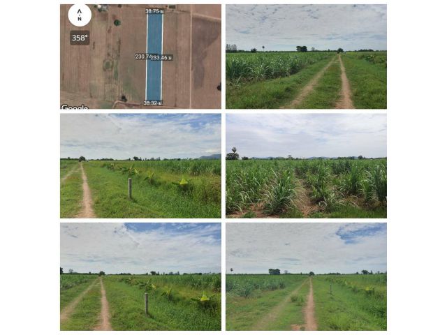 ที่ดิน เนื้อที่ 5ไร่ ที่โฉนด ที่ราบสวยเสมอถนน บรรยากาศดี
