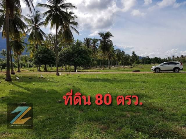 ขายที่ดิน80 ตร.วา   วิวภูเขา ใกล้ทะเล ราคาไม่แพง ต.สามร้อยยอด อ.สามร้อยยอด จ.ประจวบคีรีขันธ์