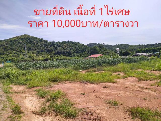 #ทรัพย์ร้อนขายถูก#ขายที่ดินเปล่าเนื้อที่ 1 ไร่ ติดถนน พิกัดพลูตาหลวง อ.สัตหีบ จ.ชลบุรี ราคา 4,000,000 บาท ใกล้สนามกอล์ฟ