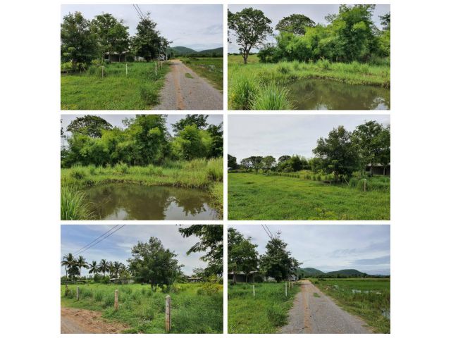 ที่สวนปลูกต้นไม้ไว้เต็มพื้นที่ มีบ่อน้ำ เนื้อที่ 200 ตรว.ที่โฉนด น้ำไฟพร้อม