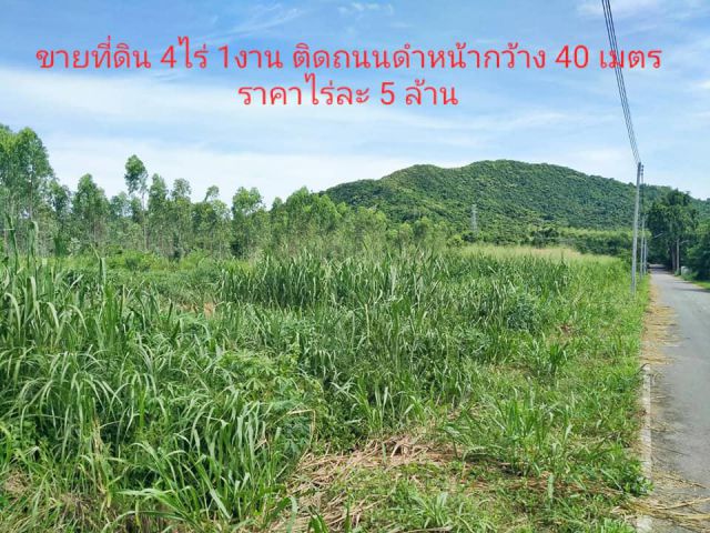 #ทรัพย์สวยขายถูก#ขายที่ดินเปล่าเนื้อที่ 4 ไร่ 1งาน ติดถนนดำ พิกัดพลูตาหลวง อ.สัตหีบ จ.ชลบุรี ราคาไร่ละ 5,000,000 บาท