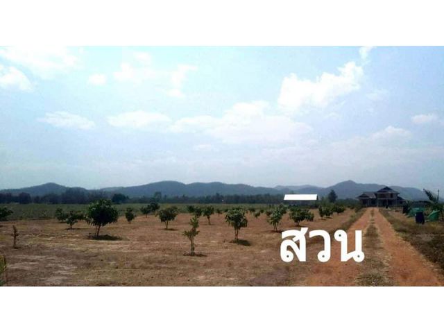 #ทรัพย์ร้อน#ขายบ้านพร้อมที่ดิน เนื้อที่ 28ไร่ ต.ไร่ใหม่พัฒนา อ.ชะอำ จ.เพชรบุรี วิวธรรมชาติสวยๆ ใกล้แหล่งท่องเที่ยว