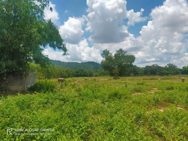 ขายที่ดิน ติดคลอง ต.คลองเรือ อ.วิหารแดง สระบุรี