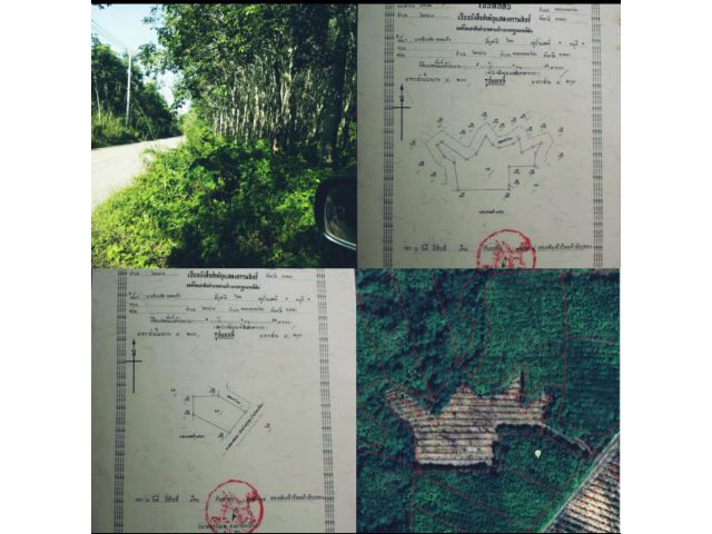 ขายที่ดินสวนยางราคาดีๆ 7 ไร่ 3งาน 38 ตารางวาขายรวม 2 ล้าน 8 แสนบาท
