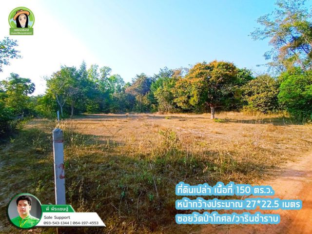ที่ดินเปล่า/ซอยวัดป่าโกศล/บ้านหนองโก-วาริน/สำหรับสร้างบ้าน