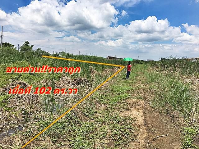 ขายด่วน ที่ดิน ราคาถูก 102 ตร.วา ขายวาละ 1.35 ล้าน
