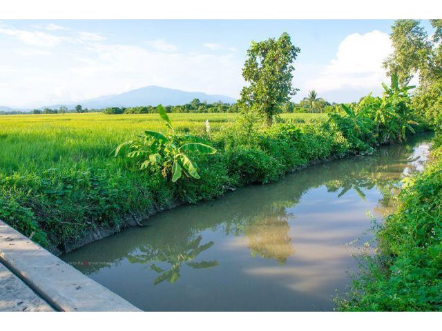 ที่ดินหางดงวิวดอยสุเทพสวยงามมาก โฉนด 6 ไร่ ใกล้น้ำปิงเหมาะทำบ้านฟาร์มเสตย์ 18 กม.เชียงใหม่