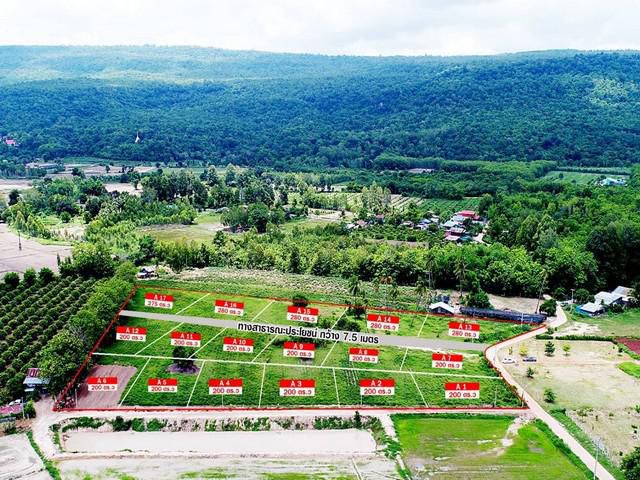 ขายที่ดินเปล่า ถมสวย วิวเขา 200 ตร.วา ใกล้อนามัยดินทอง วังทอง พิษณุโลก