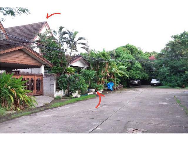 บ้านเดี่ยวขาย : หมู่บ้านพฤกษชาติ รามคำแหง 118