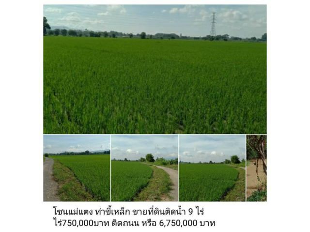 โซนแม่แตง ท่าขี้เหล็ก ขายที่ดินติดน้ำ 9 ไร่