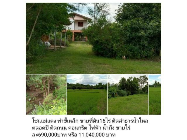 โซนแม่แตง ท่าขี้เหล็ก ขายที่ดิน16ไร่ ติดลำธารน้ำไหลตลอดปี ติดถนน คอนกรีต ไฟฟ้า น้ำถึง ขายไร่ละ690,000บาท