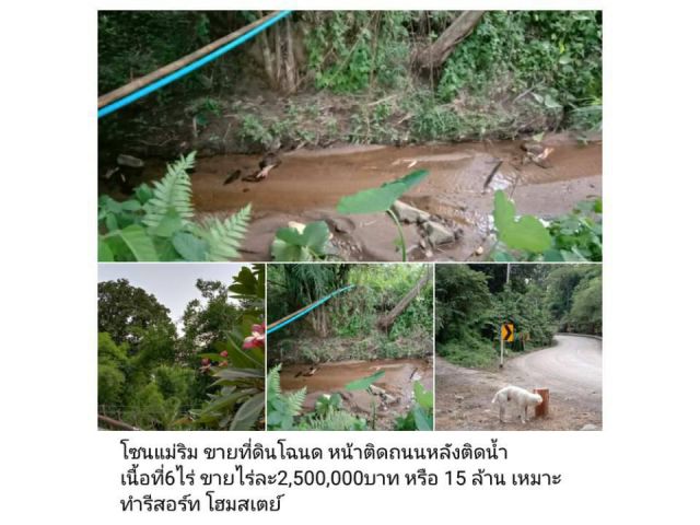 โซนแม่ริม ขายที่ดินโฉนด หน้าติดถนนหลังติดน้ำ เนื้อที่6ไร่ ขายไร่ละ2,500,000บาท หรือ 15 ล้าน เหมาะทำรีสอร์ท โฮมสเตย์